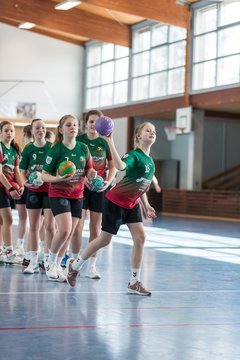 Bild 7 - wDJ HSG Kremperheide/Muensterdorf - TSV SR Schuelp : Ergebnis: 26:5